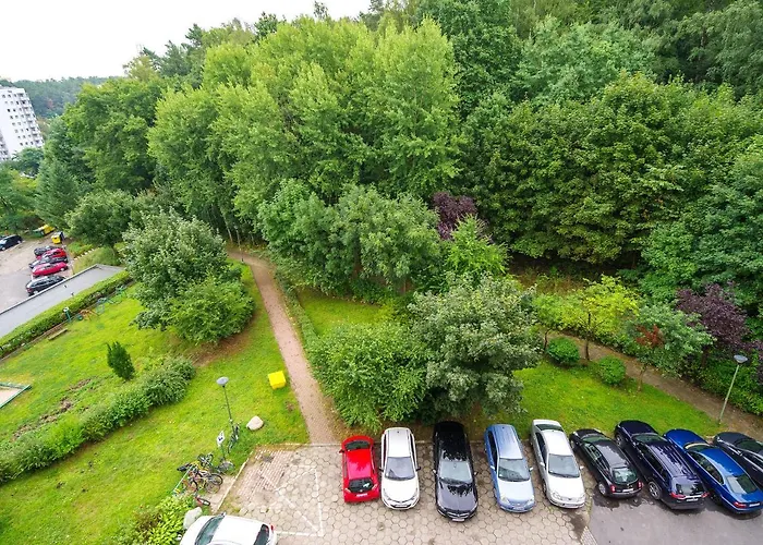 Studio Wolność 2 - ACCO RENT